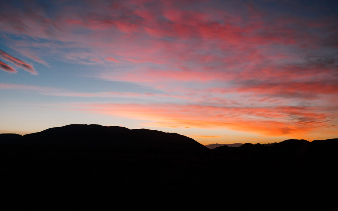 Frozen in the High Desert | Joshua Tree National Park